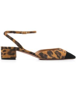 Aquazzura French Flirt 35mm パンプス - ブラウン