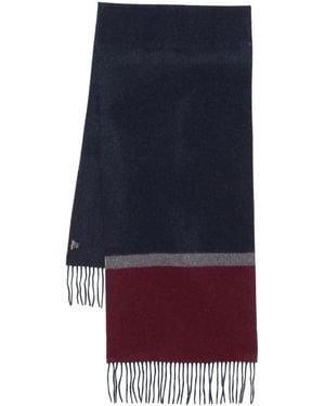 Kiton カシミア スカーフ - ブルー