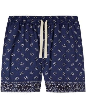 Palm Angels Paisley-print Cotton Shorts - Blue