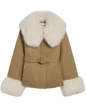 Apparis Parker Belted Jacket - Natural