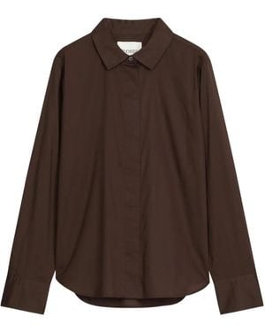 Closed Buttoned Classic Shirt - Brown