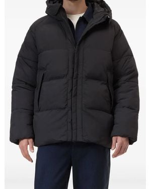 Closed Hooded Puffer Jacket - Black