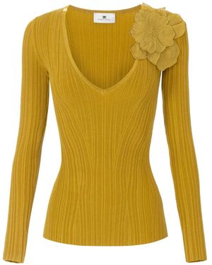 Elisabetta Franchi Flower-Detailing Top - Yellow
