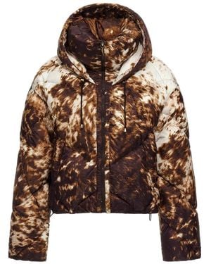 Roberto Cavalli Appaloosa-Print Puffer Jacket - Brown