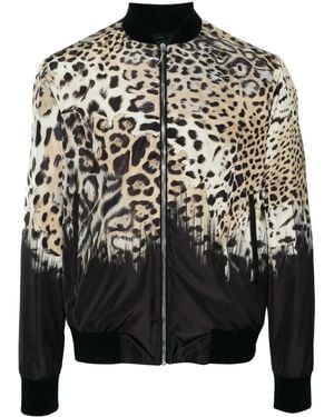 Roberto Cavalli Tiger Tooth-Detailed Leopard-Print Bomber Jacket - Black