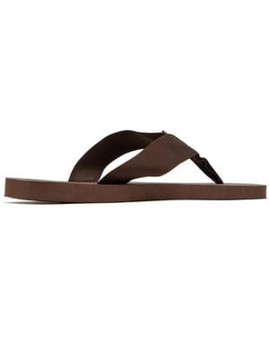 Havaianas Urban Basic Ribbon Strap Flip-Flops - Brown