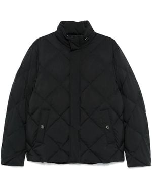Canali Plumífero con botones - Negro