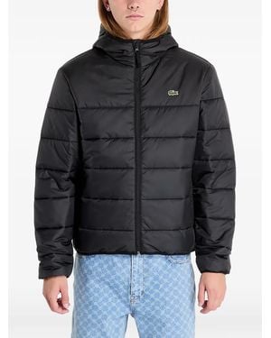 Lacoste Quilted Puffer Jacket - Black