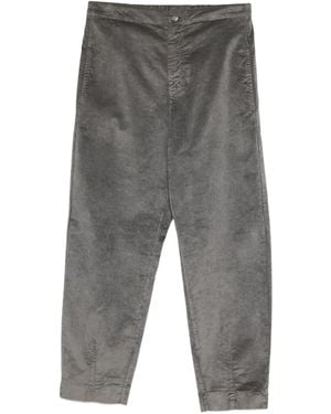Transit Corduroy Hose - Grey