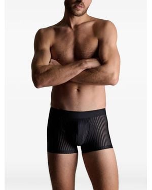 Maison Close Striped Mesh Boxer Briefs - Black