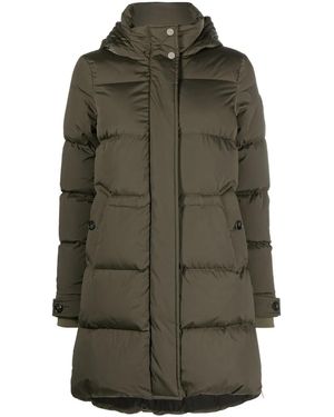 Woolrich フーデッドパデッドコート - グリーン