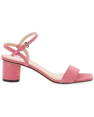 Pollini Bloch Ankle-Strap Sandals - Pink