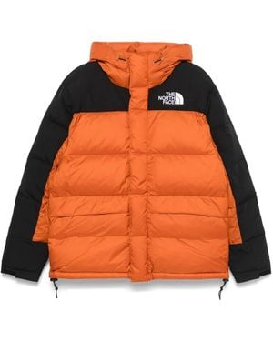 The North Face Hmlyn ジャケット - オレンジ