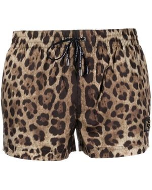 Dolce & Gabbana Underwear - Brown