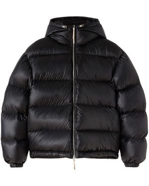 Jil Sander Hooded Down Puffer Jacket - Black