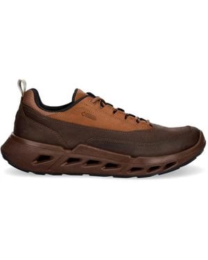 Ecco Sneakers Biom 720 Gore-Tex - Marrone