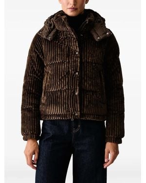Save The Duck Nadege Padded Jacket - Black