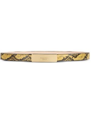 Balmain Ledergürtel Mit Python-Effekt - Gelb
