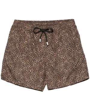 MC2 Saint Barth Lighting Micro Fantasy Leopard-Print Swim Shorts - Brown