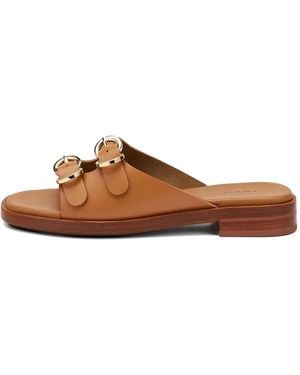 Frau Double-Strap Buckle Sandals - Brown