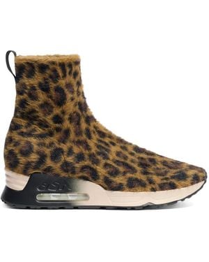 Ash Lio High-Top-Sneakers Mit Leopardenprint - Braun