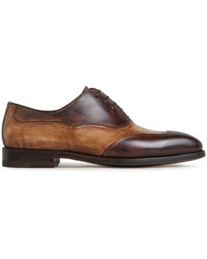Bontoni Oxford Applauso - Marrone