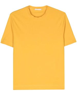 Circolo 1901 ピケ Tシャツ - イエロー