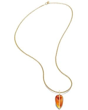 BY PARIAH 14Kt Belcher Gelbgoldhalskette Mit Karneol - Mettallic