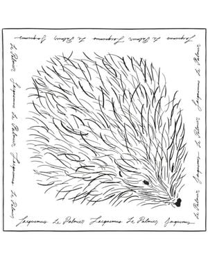 Jacquemus Le Foulard Herisson Hedgehog-Print Silk Scarf - White