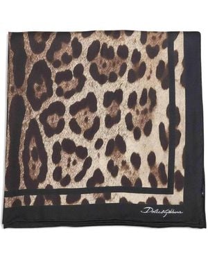 Dolce & Gabbana Logo Leopard-Print Scarf - Black