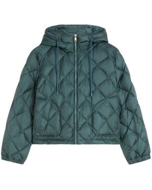 Weekend by Maxmara Quilted Hooded Jacket - グリーン
