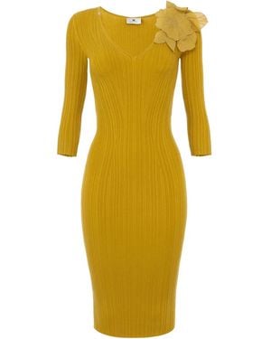 Elisabetta Franchi Organza-Appliqué Striped Knit Midi Dress