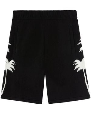 Palm Angels Palm-Tree Knitted Shorts - Black