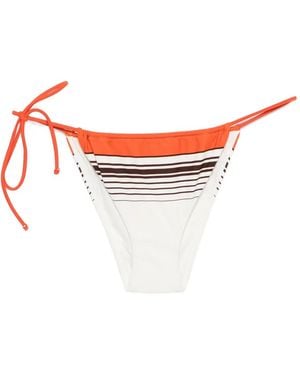 SIR. Bragas De Bikini Destino A Rayas - Multicolor
