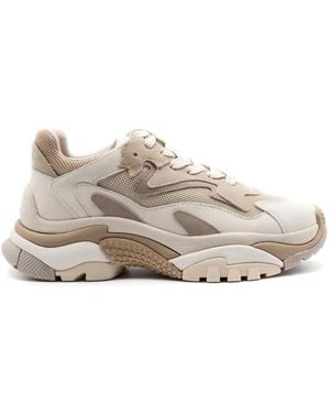 Ash Trainers - White
