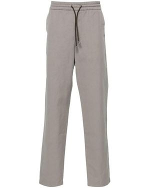 Sease Summer Mindset Pants - Gray