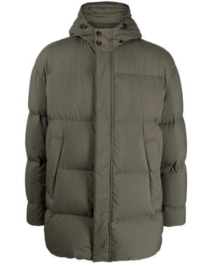 Canali Hooded Padded Jacket - Green