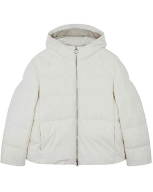 Paul & Shark Typhoon Platinum Puffer Jacket - Grey