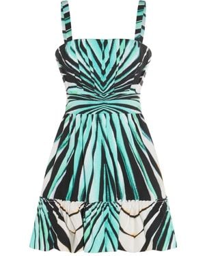 Roberto Cavalli Zebra-Print Skater Dress - Green