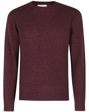 Roberto Collina Crew-Neck Knitted Sweater - Purple