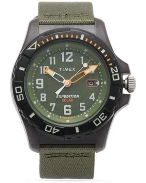 Timex Expedition North Freedive Ocean 46Mm - Green