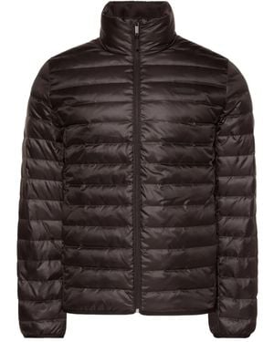 Calvin Klein Quilted Jacket - Brown