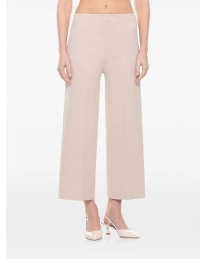 D.exterior Straight Pants - Pink