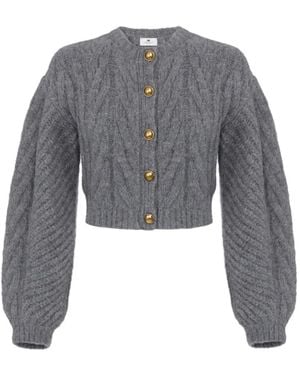 Elisabetta Franchi Cardigan - Grey