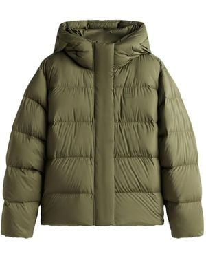 Tommy Hilfiger フーデッド パデッドジャケット - グリーン