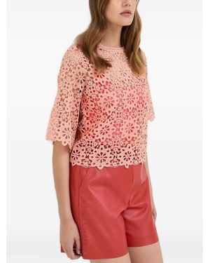 Morgan Lace Openwork Top - Red