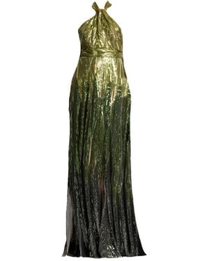 Elie Saab Embroidered Tulle Dress - Green