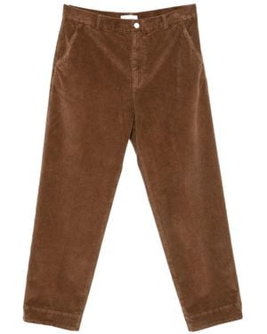 Cellar Door Corduroy Trousers - Brown