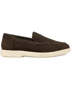 Geox SphericaTM EC17 suede loafers - Marrón