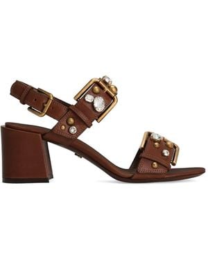 Dolce & Gabbana Cowhide Keira Sandals With Embellishments - Brown